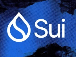 Sui Launches USDsui: What's the Point?