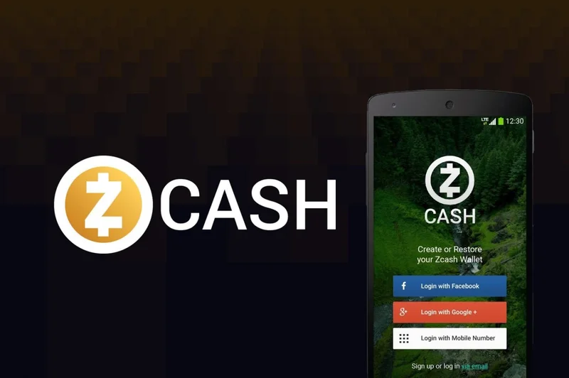 Zcash's Defiance: Price Predictions vs. Reality and What's Next